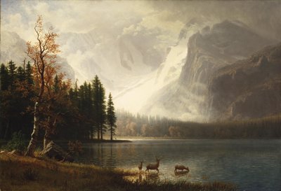 Estes Park, Colorado, Whytes See von Albert Bierstadt